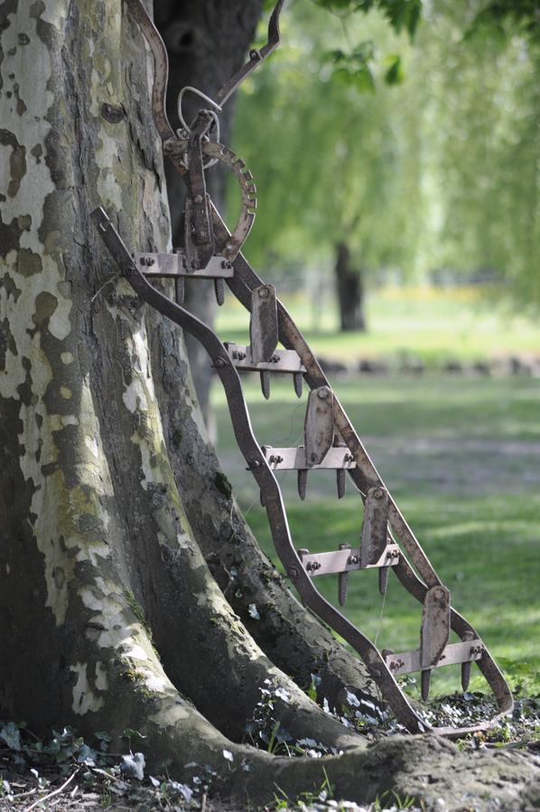 Fongrave Domaine Ramonjavel, Glamping & Alpaca'S B&B 외부 사진