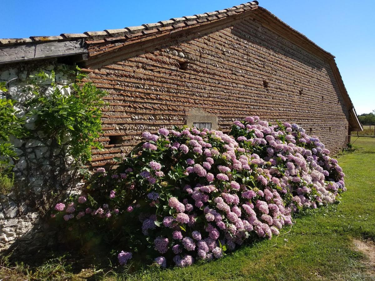 Fongrave Domaine Ramonjavel, Glamping & Alpaca'S B&B 외부 사진