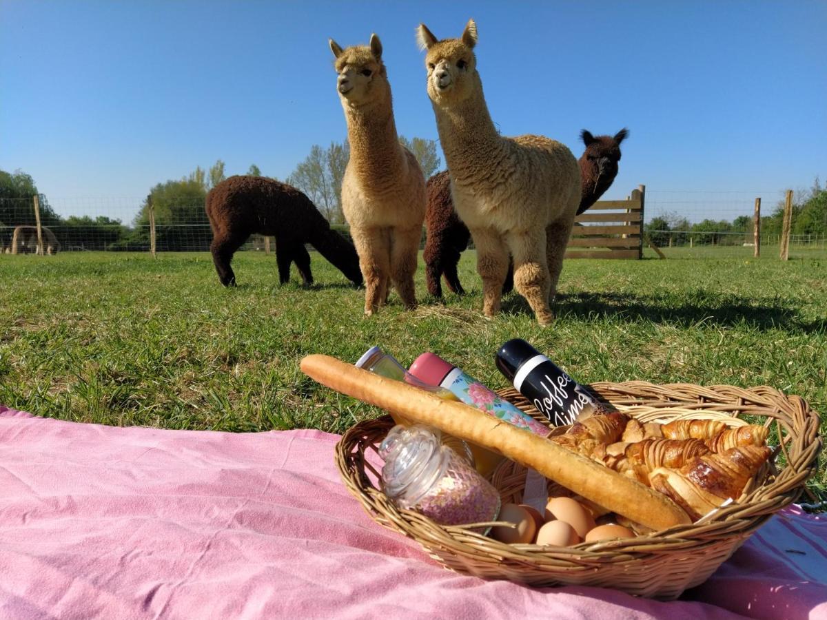 Fongrave Domaine Ramonjavel, Glamping & Alpaca'S B&B 외부 사진