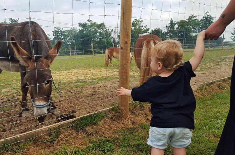 Fongrave Domaine Ramonjavel, Glamping & Alpaca'S B&B 외부 사진